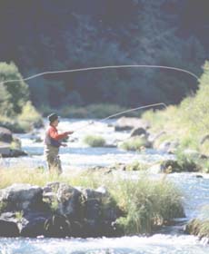 Fly Fishing Casting