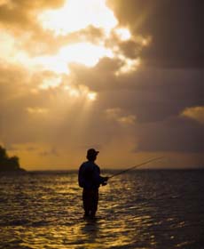 Fly Fishing at Sunset