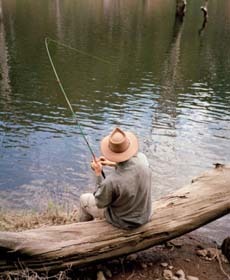 Man fishing from a log on a riverbank
