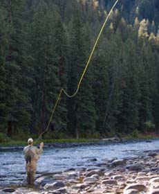 Fly Fishing line casting